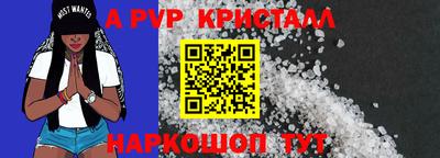 скорость Кингисепп